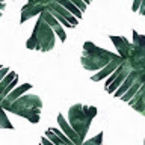 Meet your Posher, Ava